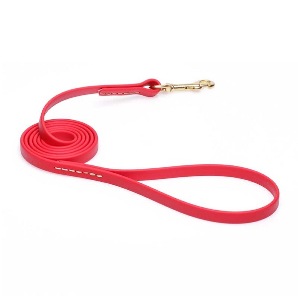 Dog Leash for Walking