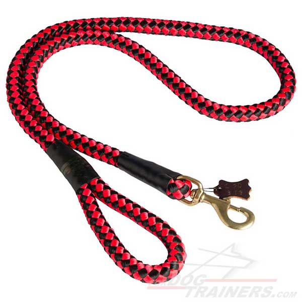 Get Cord Nylon Dog Leash Flexi Dog Leash