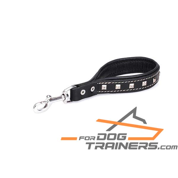 Designer Dog Leash with Durable Fittings