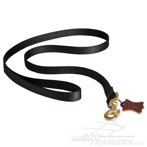 Walking dog leash