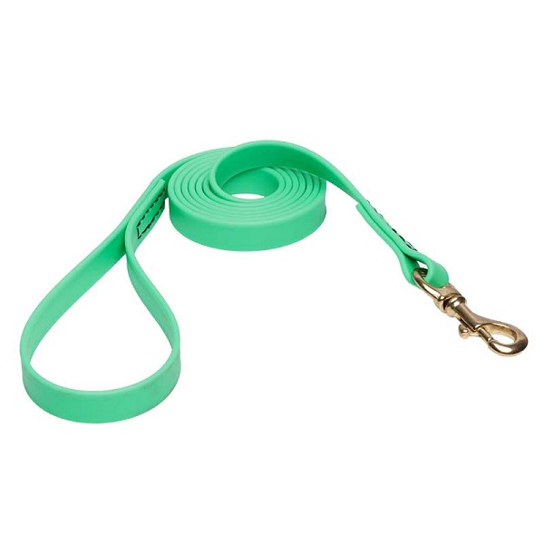 Dog Leash for Walking