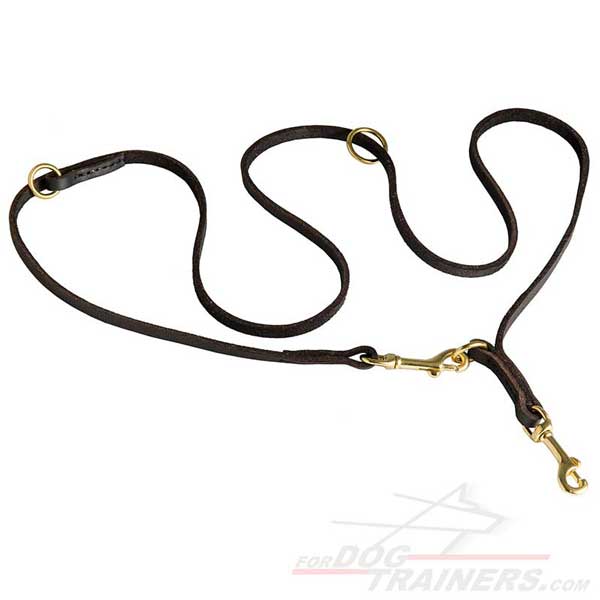 Durable Leather Dog Leash for Walking and Training