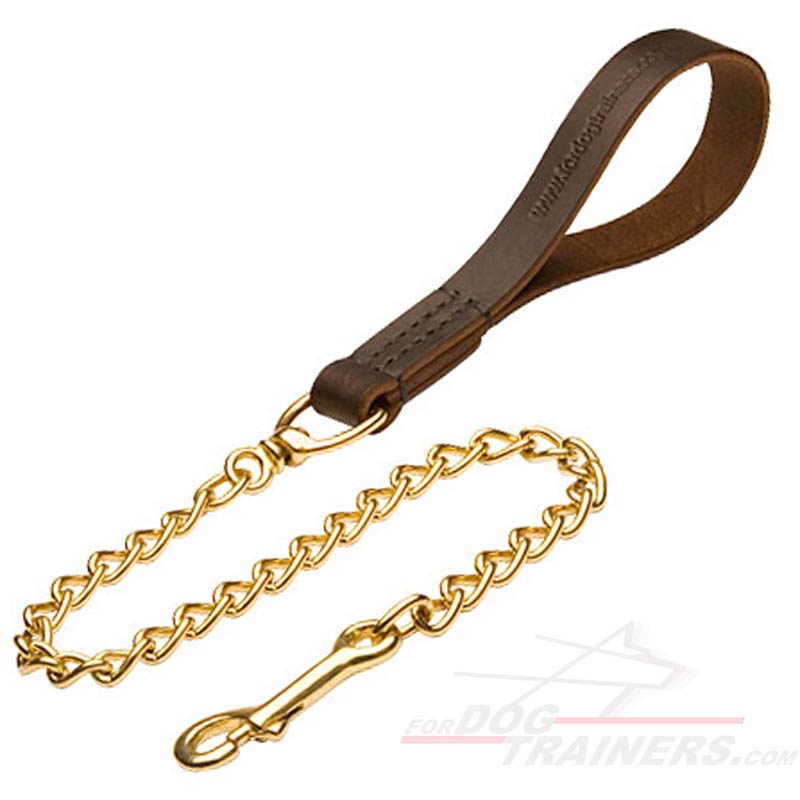 gold dog chain and leash