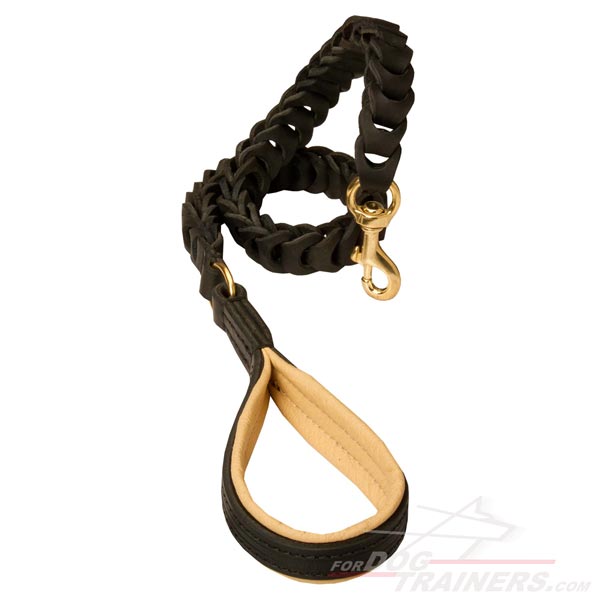 Affordably priced Leather Dog Leash