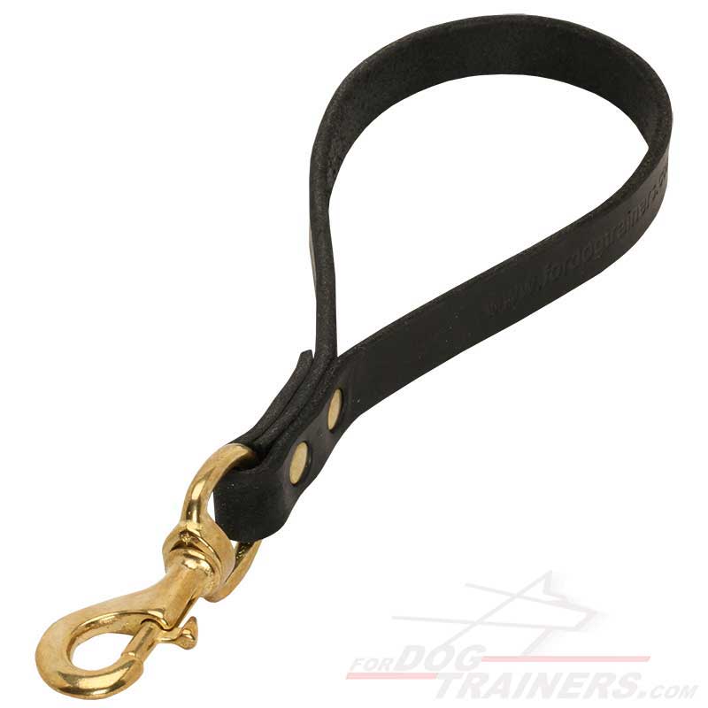 Heavy Duty Gold Chain Dog Leash – Leather Handle, Chew Proof, Short Lead