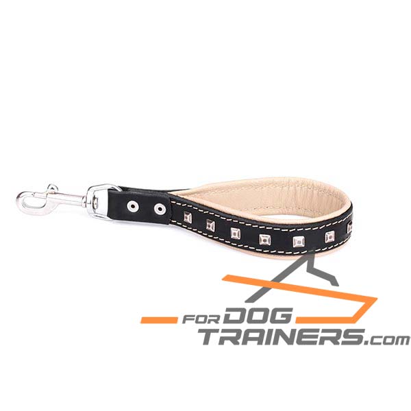 Leather dog leash with sturdy snap hook