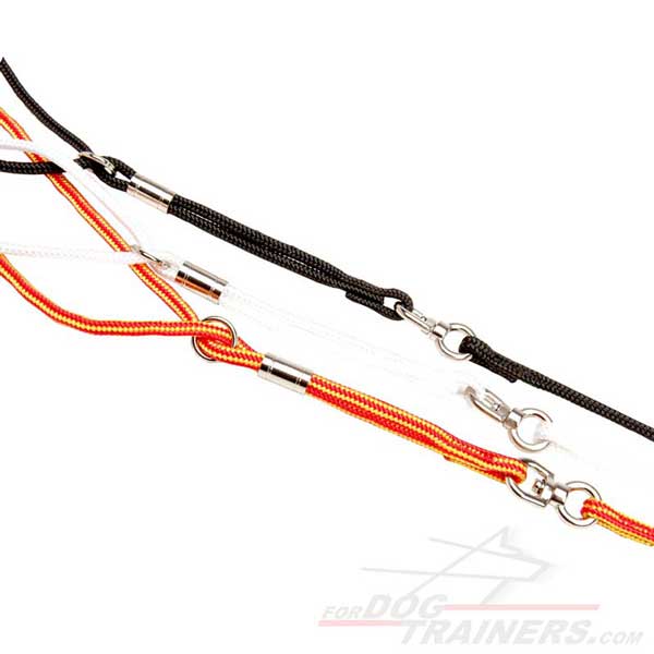 Buy Show Dog LeashRound Dog Leash