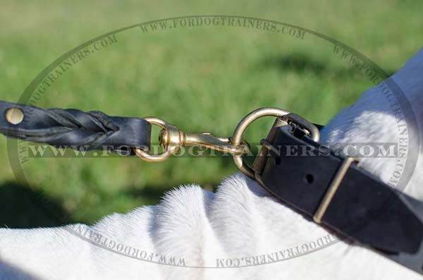 Brass Snap Hook of Leather Dog Pull Tab