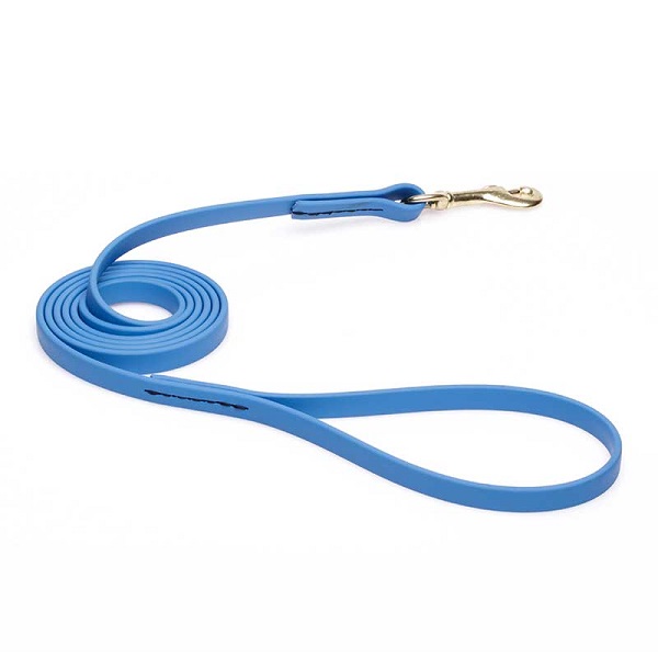 Dog Leash for Walking