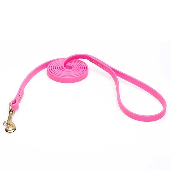 Dog Leash for Walking