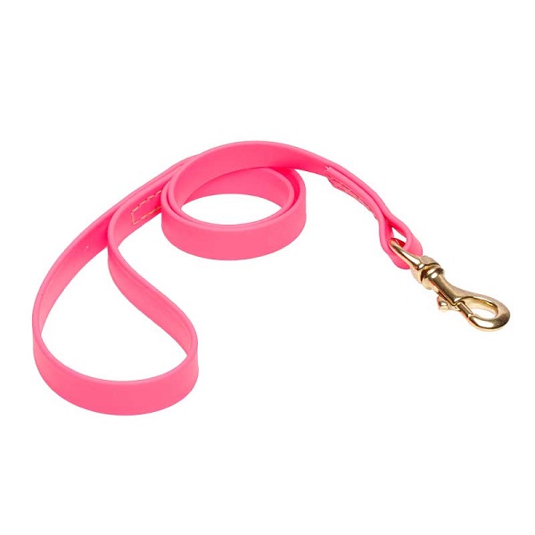 New Design Biothane Dog Leash