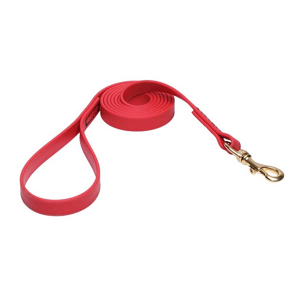 Dog Leash for Walking