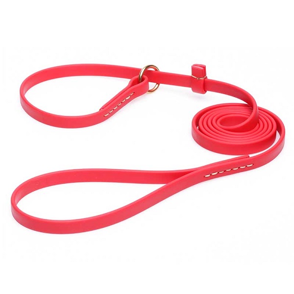 Dog Leash and Collar Combo for Walking