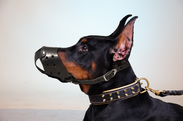 Adjustable Walking Leather Dog Muzzle