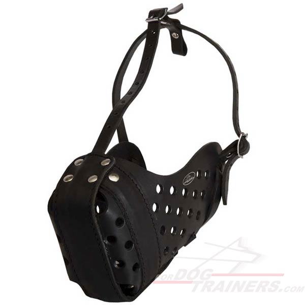 Cool Dog Attack Training Leather Muzzle