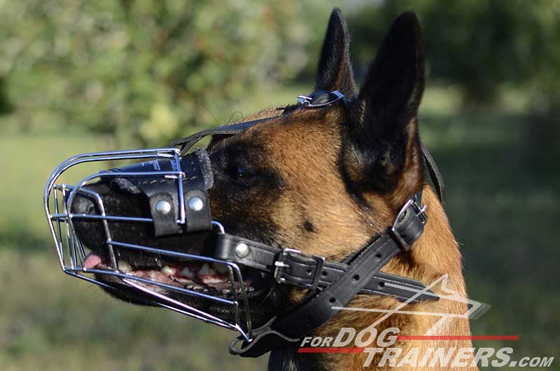 dog muzzle for belgian malinois