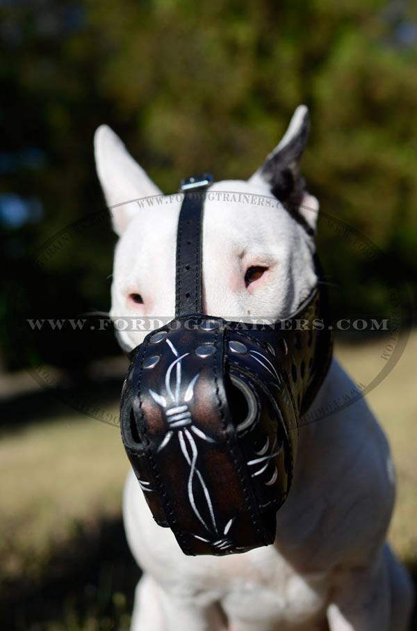 Painted Agitation Bull Terrier Muzzle Leather