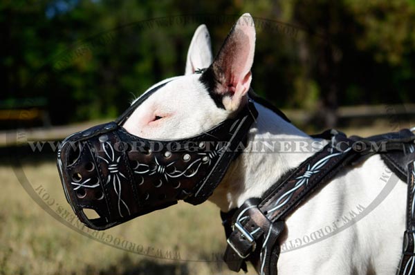 Leather Painted Bull Terrier Muzzle Barbed Wire Image