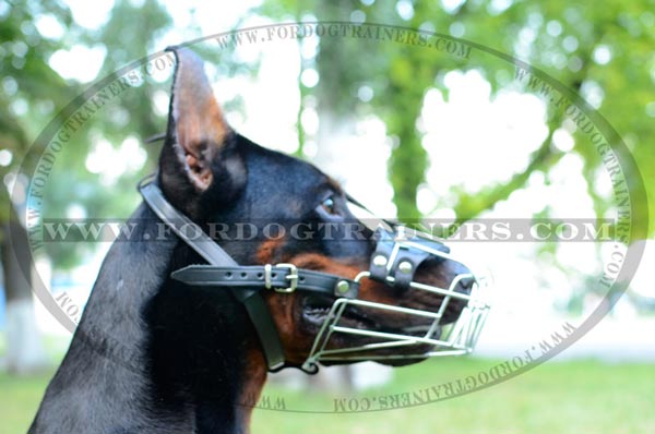 Cage Style Doberman Dog Muzzle with Adjustable Straps