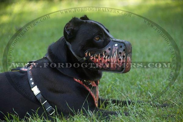 Cane Corso Flames decorated leather dog muzzle