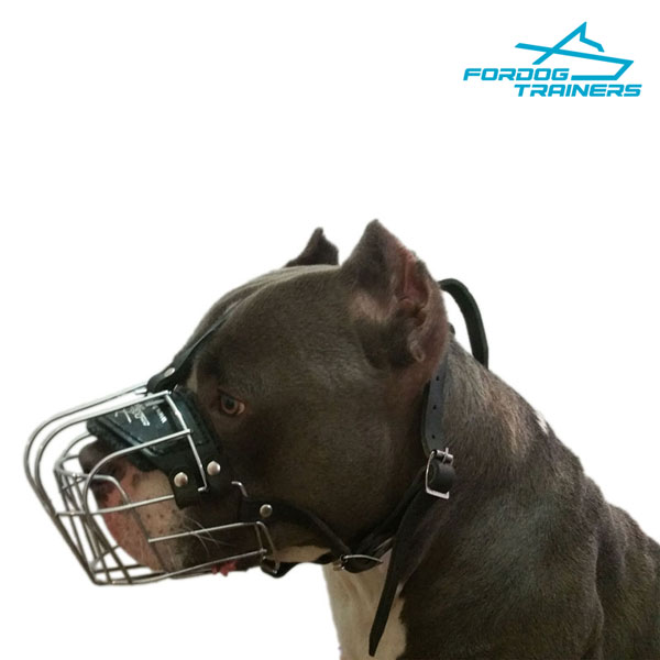 Wire Basket Amstaff Muzzle  - Easy to Adjust