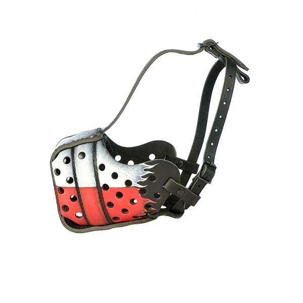 Fire leather hand-painted dog muzzle for dog training
