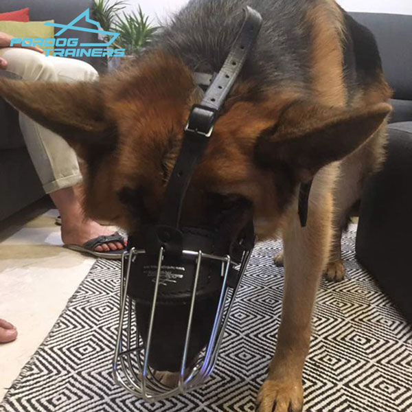 German Shepherd Basket Style Dog Muzzle - Well Ventilated Design