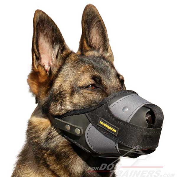 German Shepherd Dog Leather Nylon Muzzle for attack training