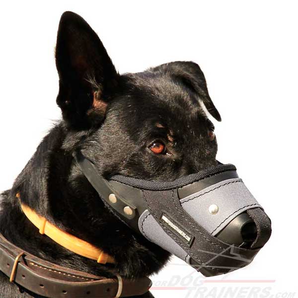 German Shepherd Dog Leather Nylon Muzzle