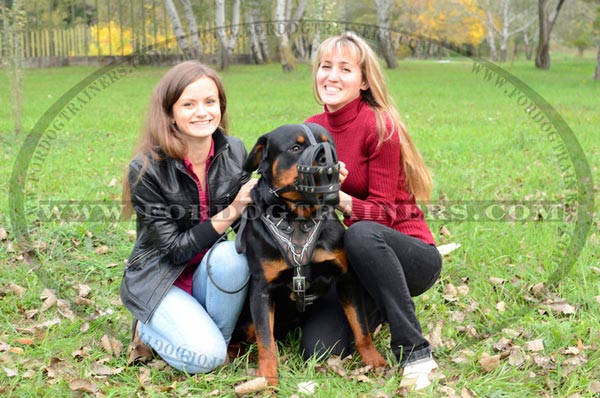 Leather dog muzzle with good air circulation