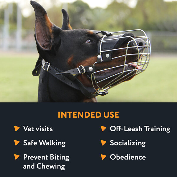 Intended Use Basket Dog Muzzle