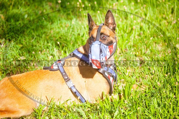 Leather Belgian Malinois Muzzle with American Flag