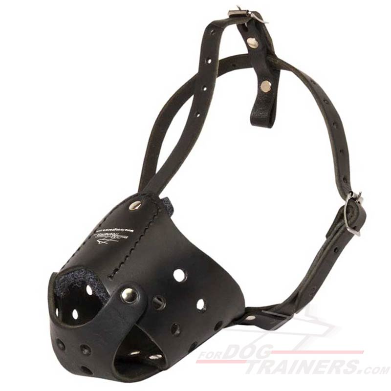 Leather muzzle for large dogs