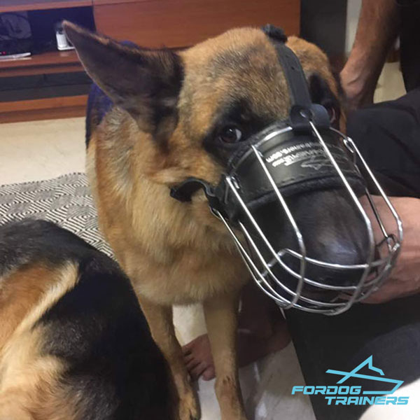 Wire Basket German Shepherd Muzzle Great for Vet Visiting