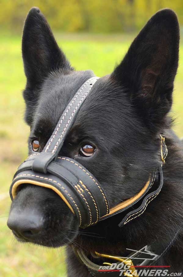 Soft Leather Muzzle for GSD