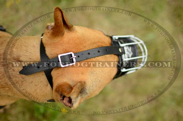 Adjustable buckles for snug fit of wire basket Pitbull muzzle