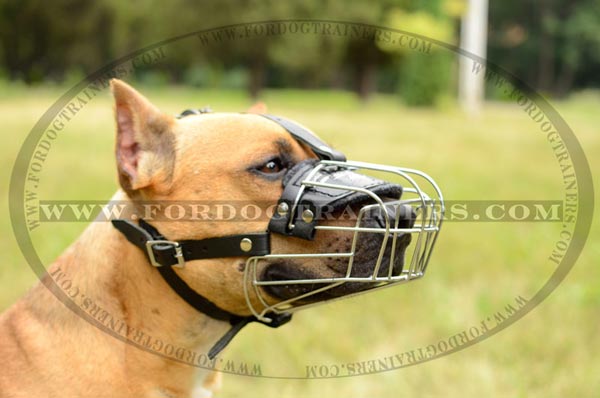 Strong riveted wire basket muzzle for Pitbull