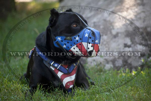 Painted muzzle on Cane Corso breed