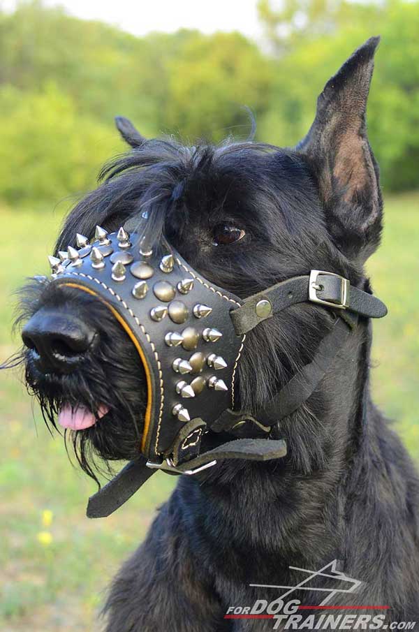 Easy Adjustable Leather Muzzle for Dog’s Comfort