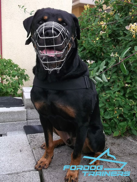 Lightweight Metal Construction Cage Muzzle for Daily Walks