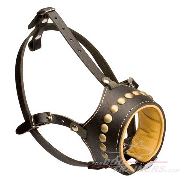 Royal studded leather dog muzzle