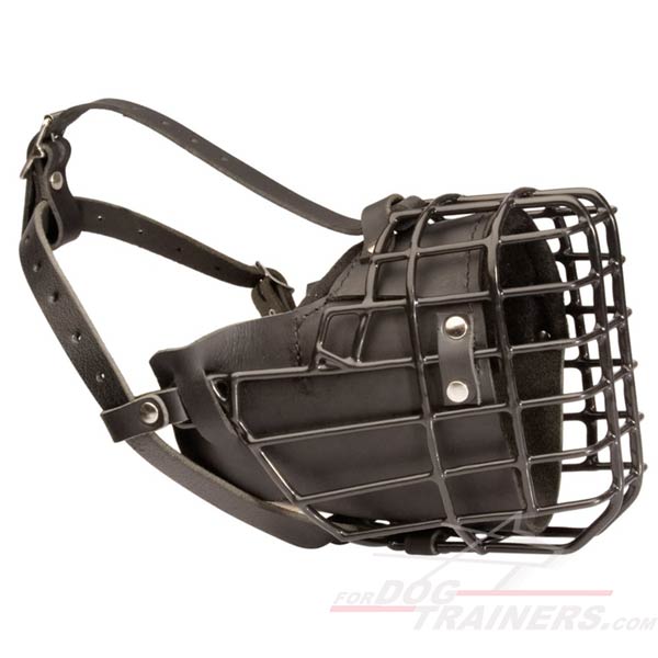 Rubber covered winter wire cage muzzle