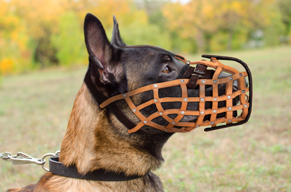 Leather Basket Dog Muzzle for Belgian Malinois