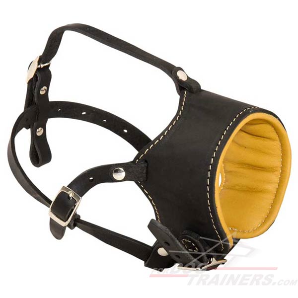 Tight closed mouth leather dog muzzle