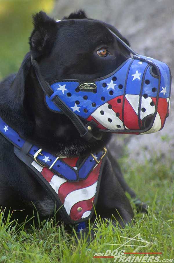Leather Cane Corso Muzzle Extremely Durable Hand Painted