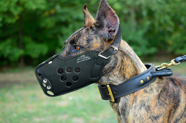 Dog Muzzle on Great Dane Made of Leather