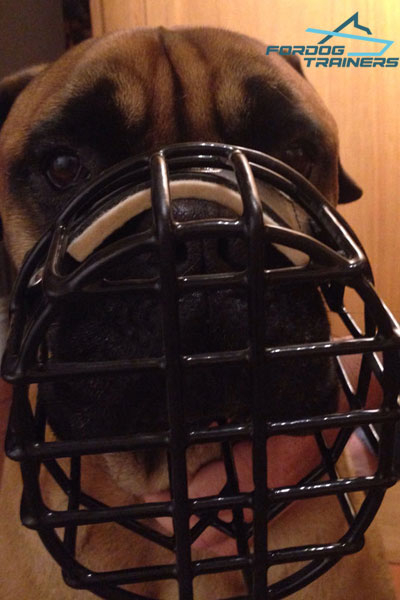 Specially created for winter wire cage dog muzzle