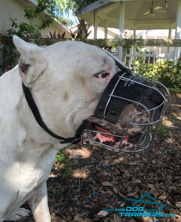 Wire Basket Dog Muzzle Easy Adjustable