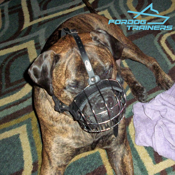 Easy to Adjustable Wire Basket Dog  Muzzle