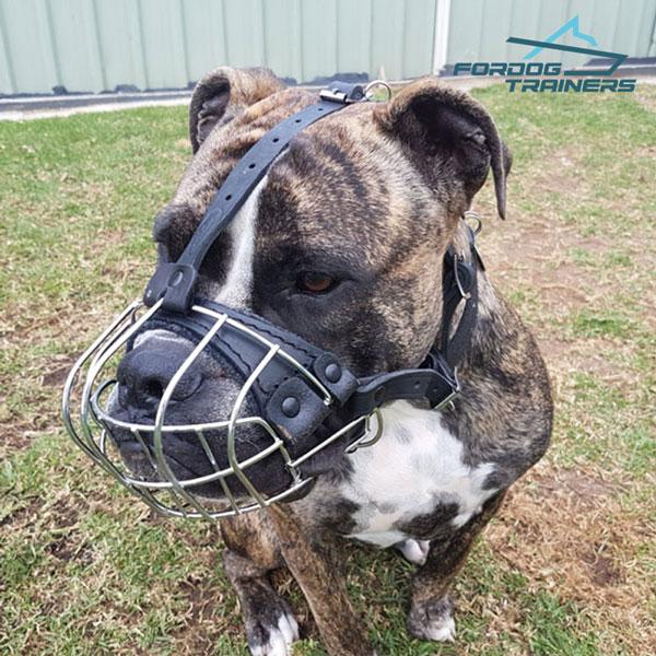 Easy Adjustable Wire Cage Dog Muzzle Super Ventilation for Everyday Use